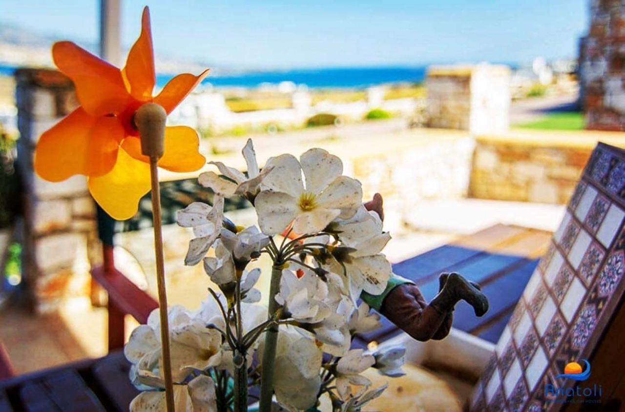 Villa Gregos House Andíparos Exterior foto